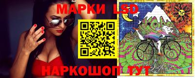 молекула духа Кандалакша