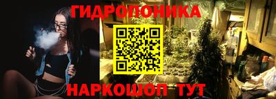 молекула духа Кандалакша