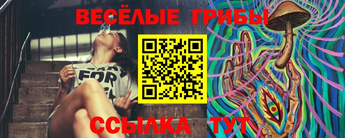 Псилоцибиновые грибы MAGIC MUSHROOMS  Псилоцибиновые грибы прущие грибы  купить наркотик  Кропоткин  Вход с VPN 