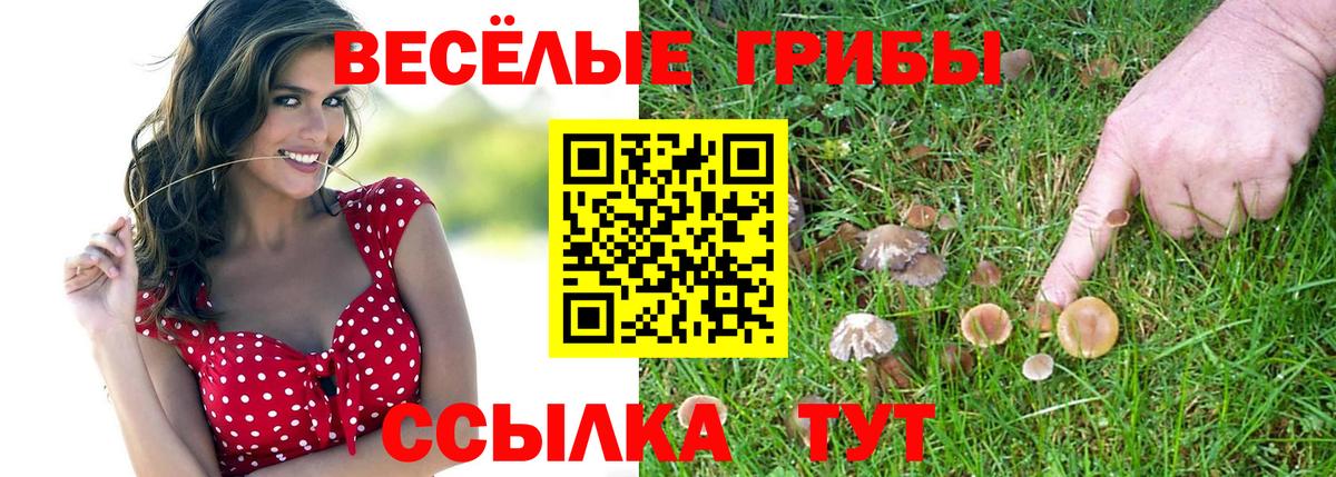 Псилоцибиновые грибы GOLDEN TEACHER Кропоткин